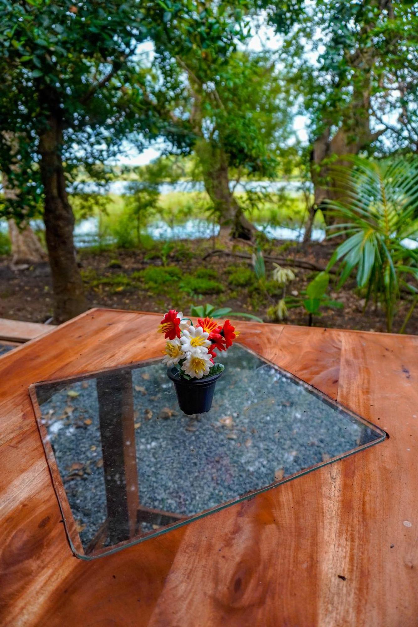Nature Lotus Villa Dambulla Buitenkant foto